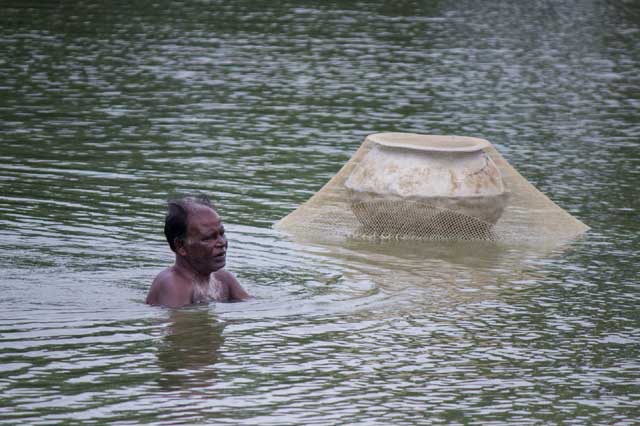 State Fisheries Development Corporation Ltd. (SFDC)